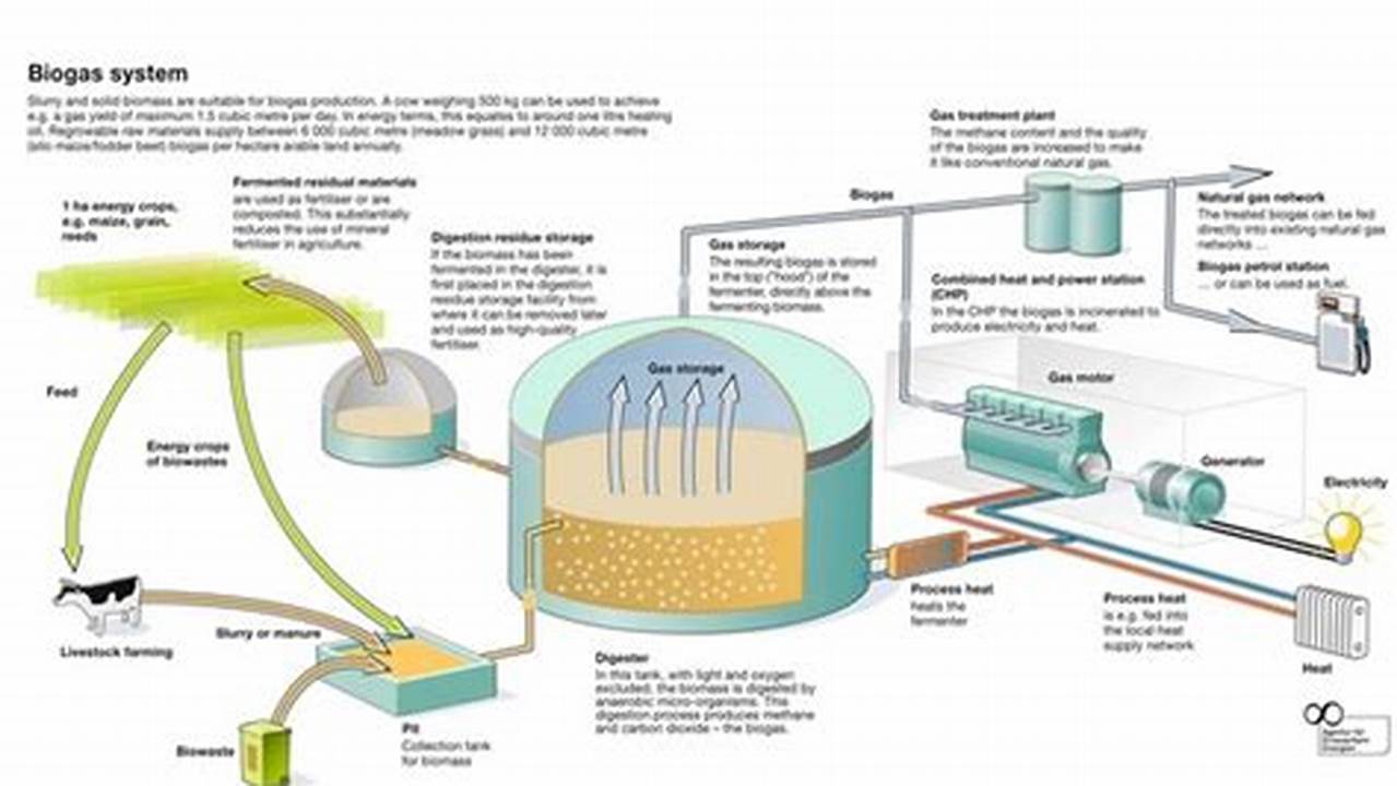 Manfaat Luar Biasa Biogas yang Jarang Diketahui